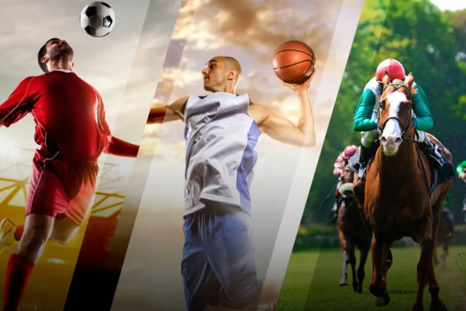 CrazyHunt Casino Sports Betting